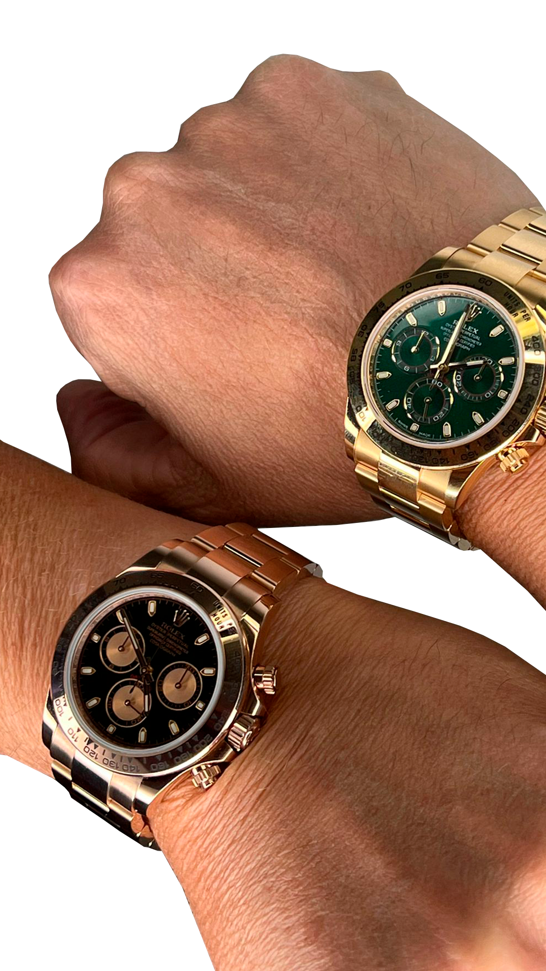 ANIMA-WATCH-30012024-1